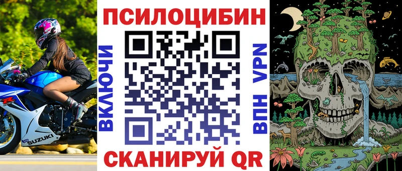 Псилоцибиновые грибы Cubensis  Купить  Северск 